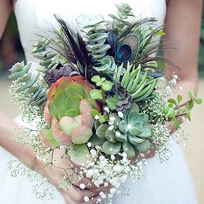 多肉植物DIY手工创意制作新娘结婚手捧花