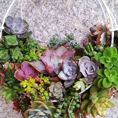 有趣的DIY漂亮的植物花篮产品欣赏