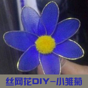 清新的小雏菊的创意手工DIY丝网花