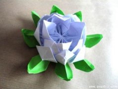 手工纸艺DIY创意制作精致的白莲花