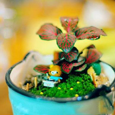 好玩的北京DIY手工:用苔藓搭建属于自己的梦幻微景观