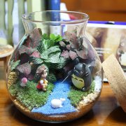 手工DIY植物产品-小梅和龙猫的日常生活