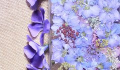 紫色优雅的永生花干花手工DIY成漂亮的手机壳产品欣赏
