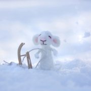 羊毛毡手工DIY可爱呆萌的小白鼠的日常生活