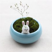 手工创意DIY制作的可爱萌兔子多肉植物小花盆